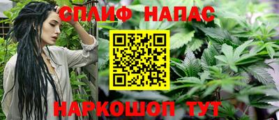 прущие грибы Конаково