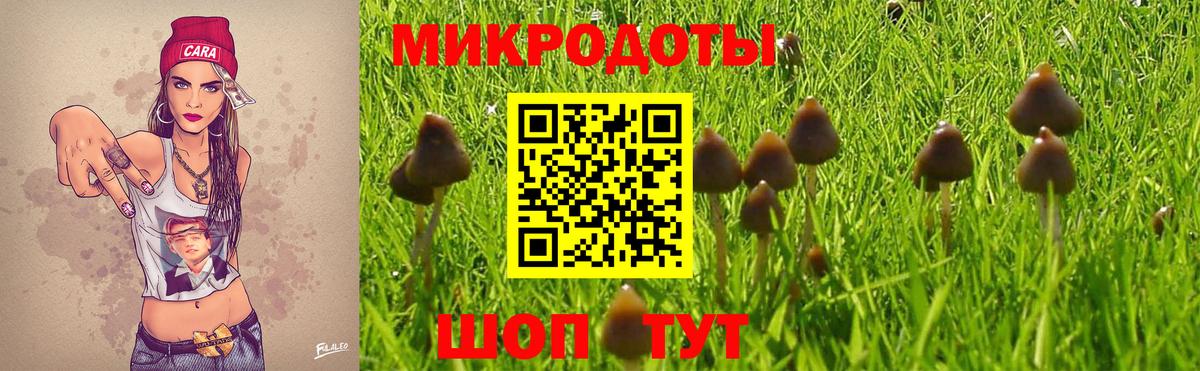 Галлюциногенные грибы ЛСД  Вход с VPN  Сургут 
