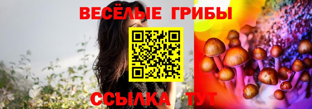 Псилоцибиновые грибы прущие грибы Сургут